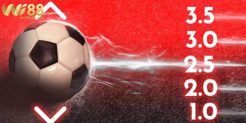 Kèo Tài Xỉu Bóng Đá Là Gì? Cách Đọc & Cược Cho Người Mới Kèo Tài Xỉu cả trận trong bóng đá