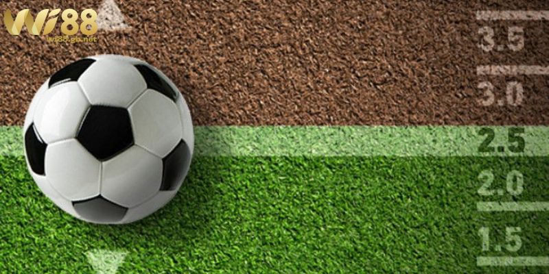 Kèo Tài Xỉu Bóng Đá Là Gì? Cách Đọc & Cược Cho Người Mới Kinh nghiệm cá cược kèo Tài Xỉu hiệu quả trong bóng đá